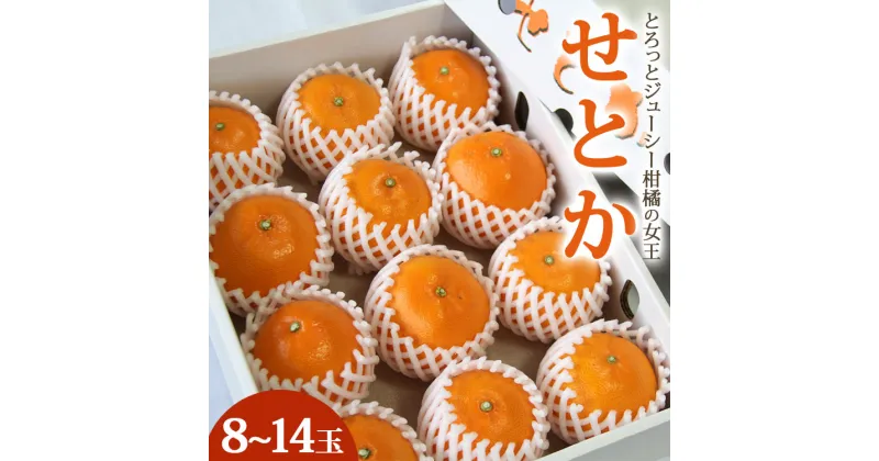 【ふるさと納税】とろっとジューシー せとか 約3kg（8〜14玉）秀品・丸秀品混合 – 果物 果実 くだもの フルーツ ミカン 蜜柑 みかん 柑橘類 先行予約受付中 期間限定 季節限定 熨斗 のし対応可 贈答用 贈り物 おくりもの ギフト プレゼント 高知県 香南市【常温】ku-0029