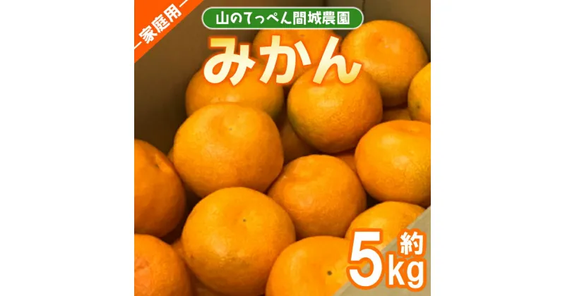 【ふるさと納税】山のてっぺん 間城農園 みかん (家庭用) 約5kg – 果物 くだもの フルーツ 柑橘 温州みかん ミカン 送料無料 数量限定 期間限定 高知県 香南市【常温】 ms-0074