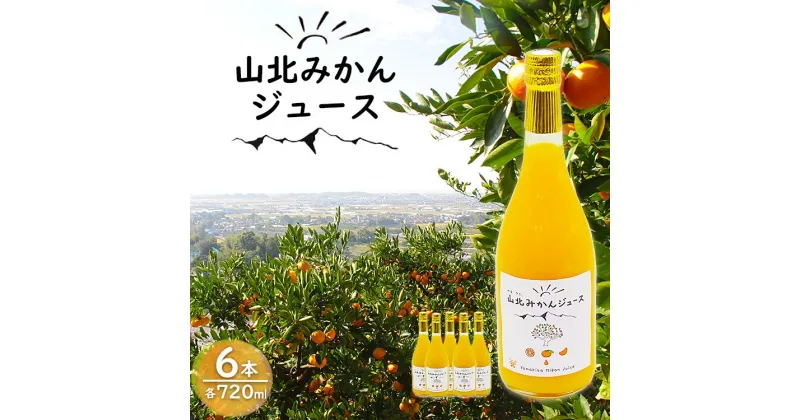 【ふるさと納税】山北みかんジュース 720ml×6本 – 果汁100％ 高知県産 ブランドみかん 温州みかん ストレート 果物 フルーツ 柑橘 オレンジ おいしい 甘い おすそ分け 飲み物 飲料 送料無料 贈り物 ギフト お礼 御礼 お歳暮 ご褒美 高知県 香南市【常温】yk-0011