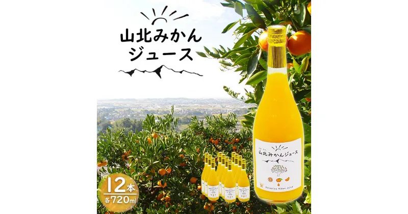 【ふるさと納税】山北みかんジュース 720ml×12本 – 果汁100％ 高知県産 ブランドみかん 温州みかん ストレート 果物 フルーツ 柑橘 オレンジ おいしい 甘い おすそ分け 飲み物 飲料 送料無料 贈り物 ご褒美 ギフト お礼 御礼 お歳暮 高知県 香南市【常温】yk-0012