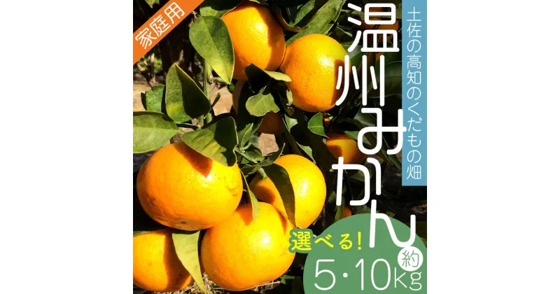 【ふるさと納税】【選べる内容量】【期間限定】土佐の高知のくだもの畑 みかん（家庭用）約5kg/約10kg – 温州みかん ミカン 訳アリ わけあり 蜜柑 ミカン 柑橘 柑橘類 フルーツ 果物 くだもの ご家庭用 ご自宅 美味しい おいしい 高知県 香南市【常温】Rkd-0021