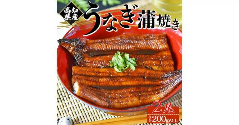 【ふるさと納税】【大人気！】高知県産養殖うなぎ蒲焼き 2尾(合計200g以上) – 鰻 ウナギ 養殖 かばやき タレ付き たれ おつまみ スタミナ 土用の丑の日 うな丼 うな重 丼ぶり どんぶり 一品 おかず 美味しい おいしい 高知県 香南市【冷凍】 fb-0018