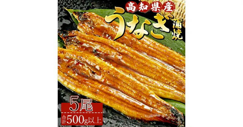 【ふるさと納税】高知県産養殖うなぎ蒲焼 5尾(合計500g以上) – タレ付き たれ 土用の丑の日 鰻 ウナギ かばやき 蒲焼き うな丼 うな重 ギフト お礼 御礼 感謝 プレゼント 送料無料 須崎市道の駅 高知県 香南市【冷凍】ss-0040