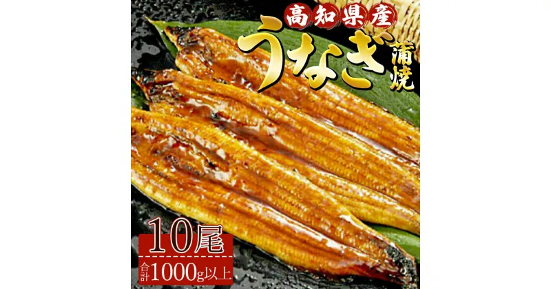 【ふるさと納税】高知県産養殖うなぎ蒲焼 10尾(合計1000g以上) – 鰻 ウナギ 国産 蒲焼き かば焼き かばやき うな丼 うな重 ギフト お礼 御礼 感謝 贈答 贈り物 土用の丑の日 高知県 香南市【冷凍】ss-0041