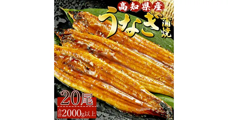 【ふるさと納税】 高知県産養殖うなぎ蒲焼 20尾(合計2000g以上) – 土用の丑の日 鰻 ウナギ 蒲焼き かば焼き かばやき うな丼 うな重 ギフト お礼 御礼 感謝 贈答 贈り物 送料無料 須崎市道の駅 高知県 香南市【冷凍】ss-0042