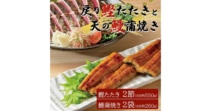 【ふるさと納税】戻り鰹たたき 2節+天の鰻蒲焼き 2袋 (合計約550g+合計260g) – 送料無料 もどり かつお カツオ うなぎ ウナギ 蒲焼き かばやき 魚 さかな 肴 おつまみ のし 熨斗 対応可 配送時間帯指定可 土佐料理司 高知県 香南市【冷凍】 tr-0013