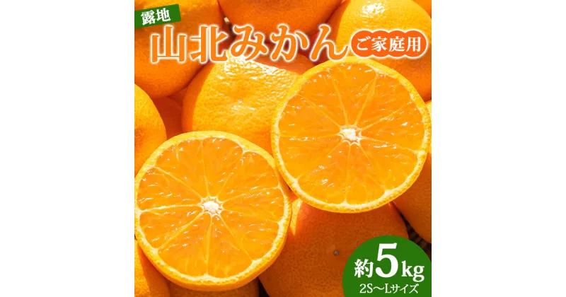 【ふるさと納税】訳あり 数量限定 山北みかん 約5kg（家庭用・露地栽培）- 果物 フルーツ 温州みかん 柑橘類 ミカン 蜜柑 おすそ分け おいしい 甘い 特産品 送料無料 高知県 香南市【常温】ku-0022