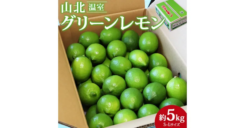 【ふるさと納税】先行予約受付【数量限定】高知県産 山北温室グリーンレモン 約5kg（S〜Lサイズ）- 果物 くだもの フルーツ 柑橘 れもん 檸檬 令和7年度発送 2025年 レモン酎ハイ お酒 お菓子 料理 産地直送 送料無料 のし対応可 高知県 香南市【常温】ku-0035