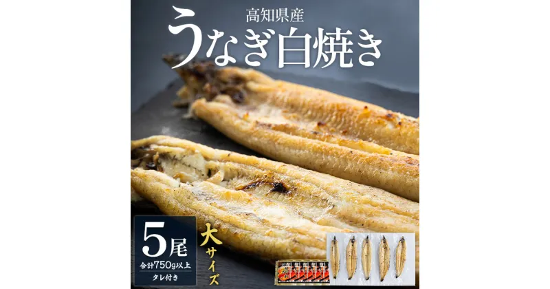 【ふるさと納税】高知県産うなぎの白焼き 大サイズ 5尾(合計750g以上) タレ付き – 送料無料 鰻 ウナギ 晩ご飯 夕飯 おかず 魚 肴 おつまみ 蒲焼きのたれ 土用の丑の日 国産 贈答用 贈り物 御歳暮 お歳暮 吉川水産 高知県 香南市【冷凍】yw-0068