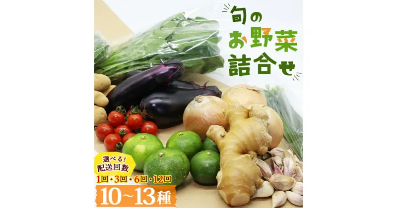 【ふるさと納税】【定期便】香南市産 旬のお野菜詰合せ(10〜13品目) 選べる定期回数：1回/3回/6回/12回 – 送料無料 10〜13種類 やさい 季節の野菜 新鮮 お楽しみ おたのしみ お任せ おまかせ 詰め合わせ セット 土佐野菜 新鮮 国産 高知県 香南市 プライム【冷蔵】RWpr-0017