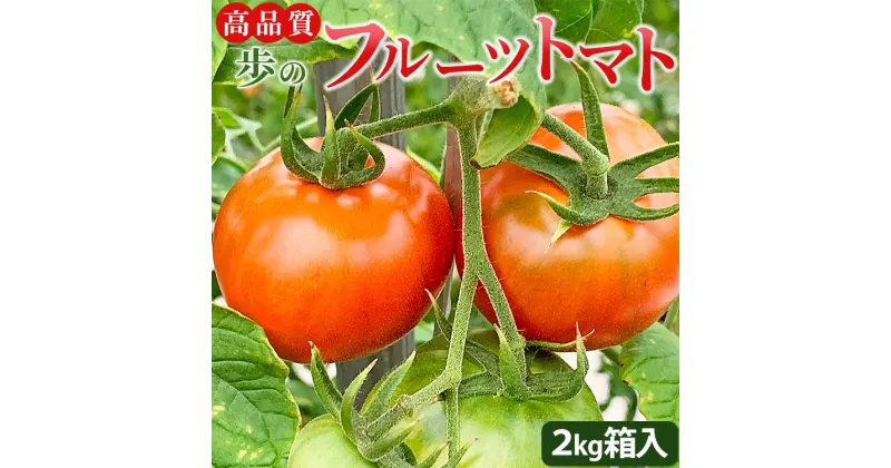 【ふるさと納税】高品質！歩のフルーツトマト 約2kg 箱入り 先行予約 – 野菜 とまと 数量限定 贈答用 贈り物 ギフト 御礼 お礼 料理 アレンジ 完熟 甘い 期間限定配送 期日指定不可 のし対応可 箱入り おすそ分け 高知県 香南市【冷蔵】 ga-0005