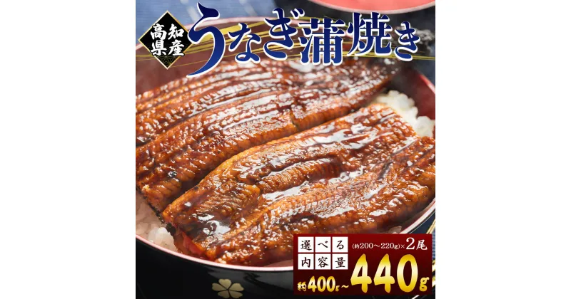 【ふるさと納税】高知県産 養殖うなぎ蒲焼き 2尾（選べる：合計約400g/合計約440g）- 国産 鰻 ウナギ 養殖 かばやき タレ付き たれ おつまみ スタミナ 土用の丑の日 うな丼 うな重 丼ぶり どんぶり 一品 おかず 美味しい おいしい 高知県 香南市【冷凍】