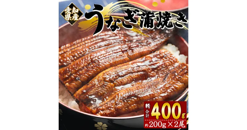 【ふるさと納税】国産養殖うなぎ蒲焼き 約200g×2尾(愛知県産鰻) – 鰻 ウナギ かばやき タレ たれ付き 有頭 化粧箱入り 贈答用 ギフト 丑の日 惣菜 おかず うな丼 うな重 湯煎 湯せん 電子レンジ 簡単調理 お取り寄せグルメ おとりよせ フジ物産 高知県香南市【冷凍】fb-0020