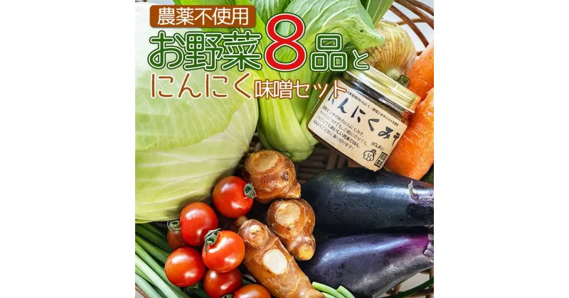 【ふるさと納税】農薬不使用 お野菜8品とにんにく味噌のセット – 送料無料 やさいセット 高知県産 旬の野菜 新鮮野菜 ニンニク みそ ミソ ごはんのおとも ご飯のお供 おかず 調味料 隠し味 国産 特産品 高知県 香南市【冷蔵】pr-0011