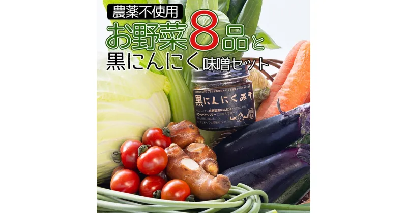 【ふるさと納税】農薬不使用 お野菜8品と黒にんにく味噌のセット – 送料無料 やさいセット 高知県産 旬の野菜 新鮮野菜 くろ ニンニク みそ ミソ ごはんのおとも ご飯のお供 おかず 調味料 隠し味 国産 特産品 高知県 香南市【冷蔵】pr-0012