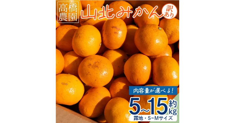 【ふるさと納税】【内容量が選べる】家庭用・訳あり 山北みかん（露地・S〜Mサイズ）約5kg/約10kg/約15kg – 送料無料 露地栽培 柑橘 果物 フルーツ ミカン 蜜柑 期間限定 季節限定 家庭用 高橋農園 国産 特産品 高知県 香南市【常温】Rth-0013