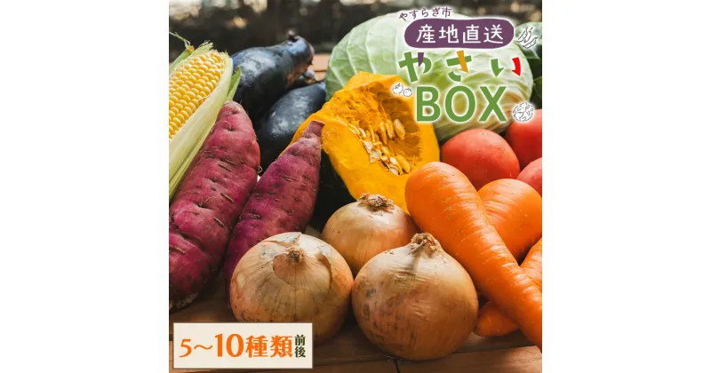 【ふるさと納税】【選べる】先行予約！産地直送やさいBOX（5種類前後／7種類前後／10種類前後） – 野菜 ベジタブル おまかせ 詰め合わせ セット 季節 旬 お任せ お楽しみ ヘルシー 国産 特産品 送料無料 やすらぎ市 高知県 香南市【冷蔵】Ryr-0041