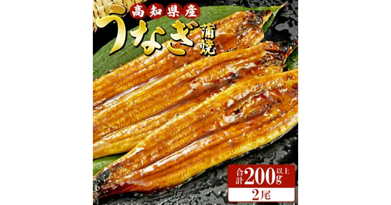 【ふるさと納税】高知県産養殖うなぎ蒲焼 100〜120g 2尾セット(合計200g以上) – 土用の丑の日 鰻 ウナギ かばやき 蒲焼き うな丼 うな重 贈り物 ギフト お礼 御礼 感謝 タレ付き 須崎市道の駅 高知県 香南市【冷凍】ss-0044