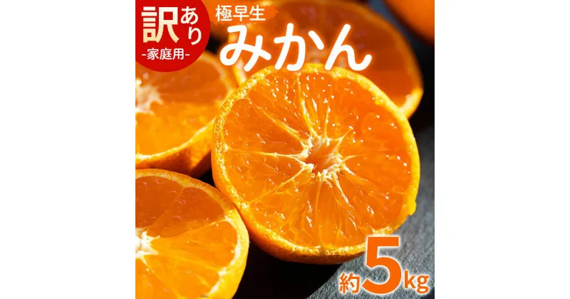 【ふるさと納税】家庭用 訳あり 極早生みかん 約5kg – 送料無料 訳アリ フルーツ 果物 くだもの 果実 甘い あまい 酸味 蜜柑 ミカン 柑橘 ご自宅用 旬 季節 かなや農園 合同会社Benifare 国産 特産品 高知県 香南市【常温】be-0024