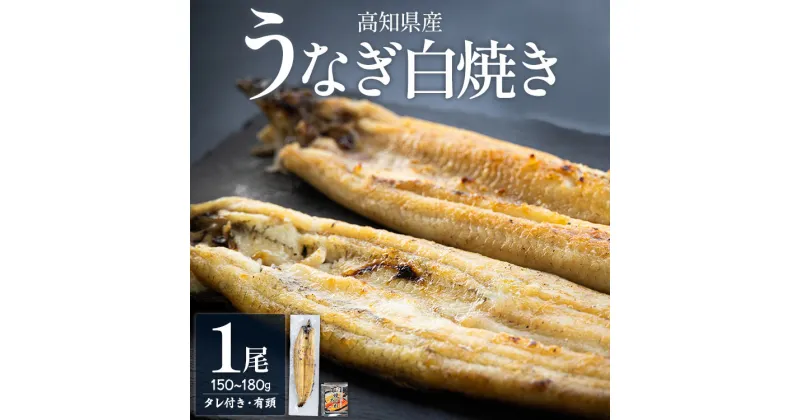 【ふるさと納税】高知県産うなぎの白焼き 1尾（150〜180g）タレ付き エコ包装 – 鰻 ウナギ 有頭 つまみ ご飯のお供 簡易包装 家庭用 老舗 国産 土佐湾 吉川水産 高知県 香南市【冷凍】 yw-0056