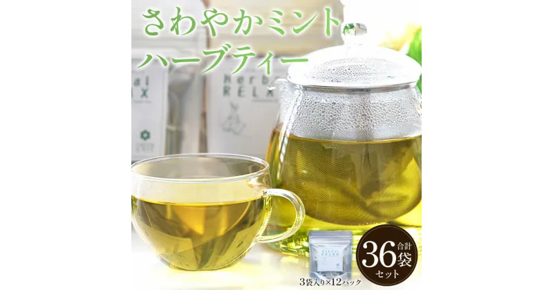 【ふるさと納税】さわやかミントハーブティー 合計36袋セット（3袋入り×12パック）- お茶 飲み物 飲料 ティーバッグ 茶葉 ティータイム はーぶ 便利 チャック付き リラックス ギフト プレゼント 贈り物 熨斗対応可 のし 安眠 更年期 GREENBASE 高知県 香南市【常温】gr-0160