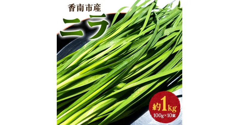 【ふるさと納税】香南市産 ニラ 約1kg（100g×10束）- にら 韮 香味野菜 やさい 葉物 新鮮 生 料理 もつ鍋 餃子 饅頭 キムチ チヂミ 炒め物 おひたし 直送 国産 おきゃんぴー農園 高知県 香南市【冷蔵】 on-0010