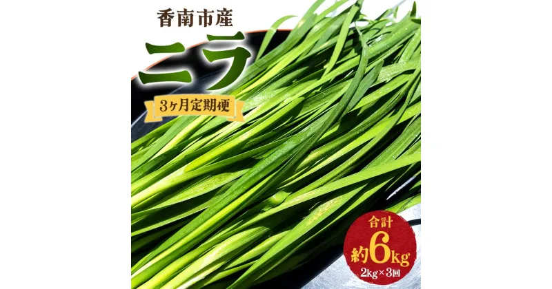 【ふるさと納税】3ヶ月定期便 香南市産 ニラ 合計約6kg（2kg×3回）- にら 韮 生 野菜 やさい 香味野菜 葉物 新鮮 シャキシャキ食感 肉厚 にくあつ 料理 アレンジ 炒めもの 炒め物 煮物 鍋 なべ もつ鍋 産地直送 国産 おきゃんぴー農園 高知県 香南市【冷蔵】Won-0017