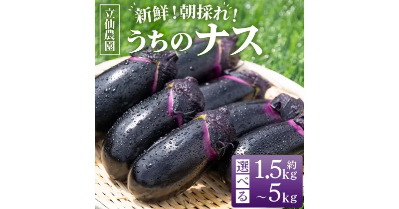 【ふるさと納税】【内容量が選べる】立仙農園 うちのナス 約1.5kg/約3kg/約5kg – なす 茄子 なすび ナスビ 生鮮 野菜 やさい 朝採れ 新鮮 生 1本90g前後 5本ずつ小分け おすそ分け 料理 タタキ 煮びたし 揚げ 味噌 麻婆 焼きナス 炒め物 国産 高知県 香南市【常温】Rrs-0004