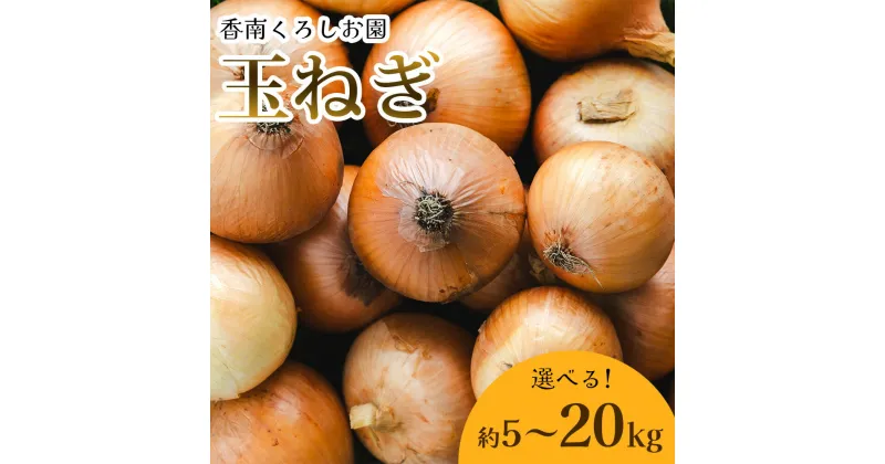 【ふるさと納税】【先行予約】【選べる内容量】玉ねぎ 約5kg〜20kg（大小混合・家庭用）- 香南市産 国産 たまねぎ タマネギ 玉葱 野菜 オニオンスープ ハンバーグ 常備野菜 保存野菜 香南くろしお園 高知県 香南市【常温】 Rke-0009