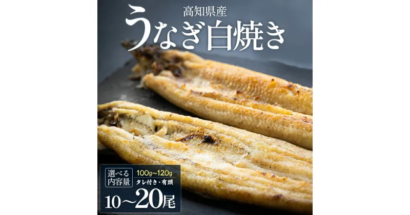 【ふるさと納税】【選べる内容量】【数量限定】うなぎ 白焼き 100g〜120g×10尾／20尾（合計1kg以上／2kg以上）蒲焼きタレ付き – 国産 鰻 ウナギ 有頭 背開き つまみ ご飯のお供 老舗 土佐湾 吉川水産 高知県 香南市【冷凍】Ryw-0084