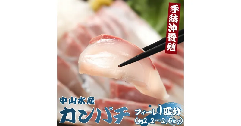 【ふるさと納税】 【先行申込】「カンパチ」のフィーレ約2.2kg～2.6Kg 手結沖養殖 – 期間限定 魚 かんぱち 海鮮 鮮魚 魚介類 切り身 海の幸 ギフト お刺身 煮物 焼き魚 おかず 手結沖養殖 産地直送 高知県 香南市 ny-0008