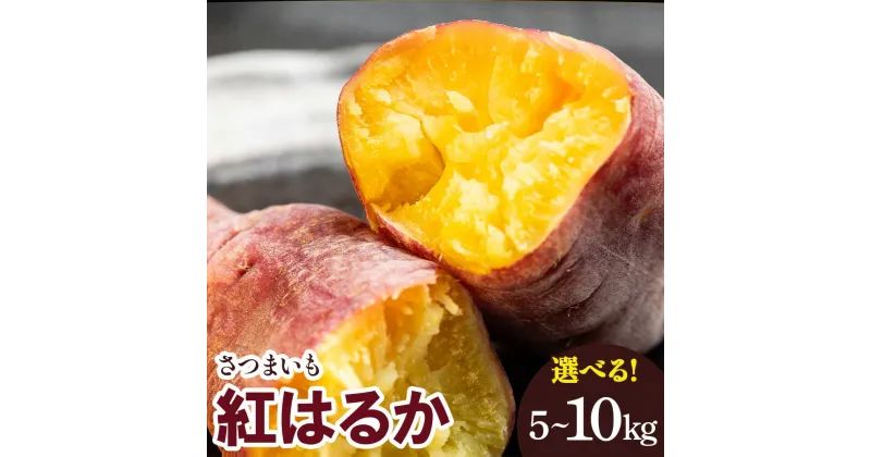 【ふるさと納税】【選べる内容量】さつまいも 紅はるか 5kg／10kg – サツマイモ さつま芋 野菜 焼き芋 やきいも 焼いも おやつ スイーツ スイートポテト 天ぷら 国産 高知県 香南市【常温】Rgr-0148