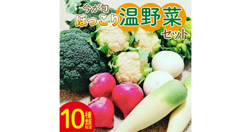 【ふるさと納税】今が旬 ほっこり温野菜セット お野菜詰め合わせ 朝採れ 朝採り 新鮮 お手軽 簡単調理 ブロッコリー 人参 にんじん ニンジン カリフラワー 大根 だいこん かぶ カブ 鍋 炒め 蒸し 無農薬 産地直送 特産品 旬彩ファームやまさき 高知県 香南市【常温】sy-0006