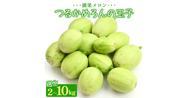 【ふるさと納税】つるかめろんの玉子(摘果メロン) （選べる内容量：2kg／4.5kg／10kg） – マスクメロン めろん フルーツ くだもの 果物 おやつ おつまみ アレンジ お漬物 お漬け物 炒め物 天ぷら 子メロン 小さい 産地直送 篤農 高知県 香南市【冷蔵】