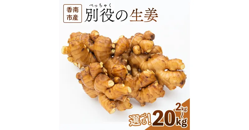 【ふるさと納税】香南市産 別役の生姜 (選べる：2kg／4kg／8kg／10kg／20kg) – しょうが ショウガ ジンジャー 薬味 調味料 国産 株式会社べっちゃく 高知県 香南市【常温】