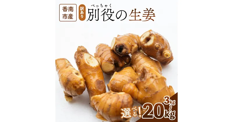 【ふるさと納税】訳あり 香南市産 別役の生姜 (選べる：3kg／4kg／8kg／10kg／15kg／20kg) – しょうが ショウガ ジンジャー 薬味 調味料 国産 訳アリ 家庭用 キズ 株式会社べっちゃく 高知県 香南市【常温】