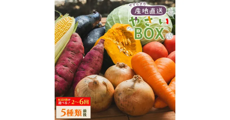 【ふるさと納税】【定期便】やすらぎ市 産地直送やさいBOX （5種類前後）選べる定期回数：2回/3回/4回/5回/6回 – 野菜 ベジタブル おまかせ 詰め合わせ セット 季節 旬 お任せ お楽しみ ヘルシー 国産 特産品 送料無料 やすらぎ市 高知県 香南市【冷蔵】RWyr-0039