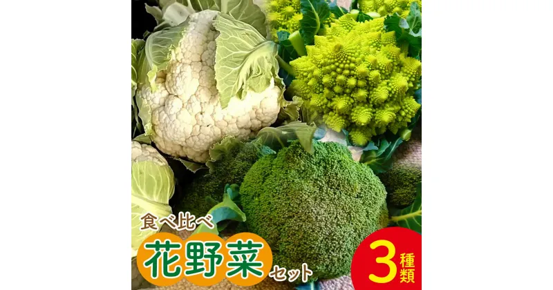 【ふるさと納税】野菜食べ比べセット（ブロッコリー、カリフラワー、ロマネスコ） 全3種 – やさい 詰め合わせ 詰合せ 簡単料理 朝採れ 新鮮 無農薬 産地直送 旬彩ファームやまさき 高知県 香南市【常温】 sy-0007