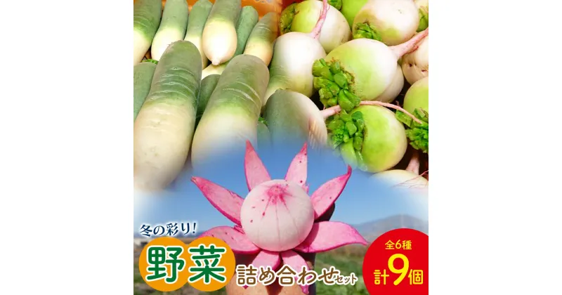 【ふるさと納税】冬の彩り野菜詰め合わせセット(白菜、蕪、 大根) – やさい 新鮮 カブ 詰合せ 浅漬け 朝採れ 簡単料理 常備野菜 時短 使いやすい 無農薬 産地直送 旬彩ファームやまさき 高知県 香南市【常温】 sy-0009