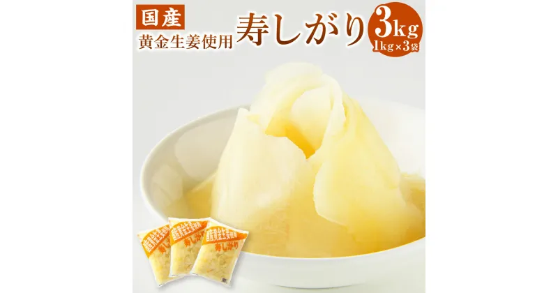 【ふるさと納税】寿しがり 高知県産 ブランド生姜 1kg×3袋 香美市 高知県 送料無料