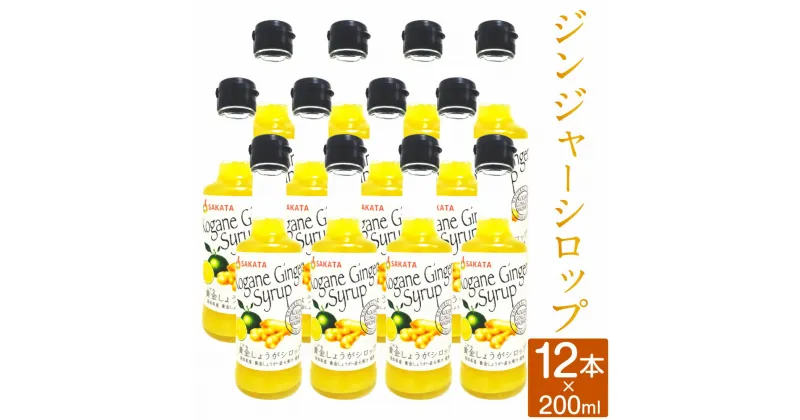 【ふるさと納税】ジンジャーシロップ 200ml×12本 香美市 高知県 送料無料