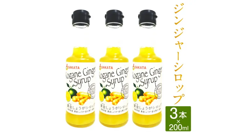 【ふるさと納税】高知県産生姜 ジンジャーシロップ 200ml×3本