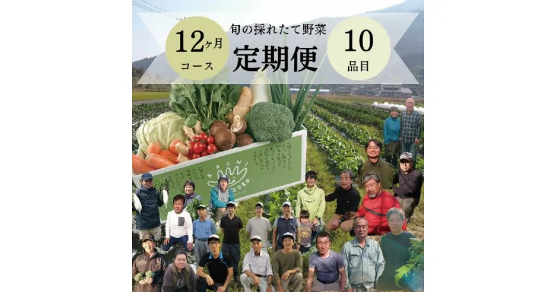 【ふるさと納税】「定期便」野菜詰め合わせセット12ヵ月 野菜 やさい 新鮮 産地直送 お取り寄せ 詰め合わせ 高知県 香美市 送料無料