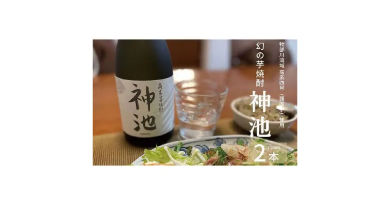 【ふるさと納税】高系芋焼酎 神池 25度 720ml 2本入