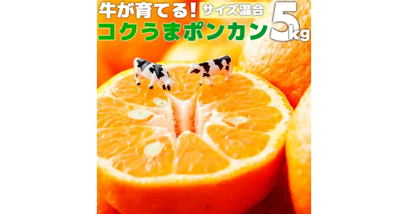 【ふるさと納税】＜先行予約＞牛が育てる！コクうまポンカン ミックスサイズ＜5kg＞ 国産 東洋町産 訳アリ ぽんかん オレンジ 果物 フルーツ 甘い 酸味 コク 完熟 無農薬栽培 高知 四国 お取り寄せ 家庭用 自宅用 送料無料 産地直送 果汁 ジューシー 蜜柑 ミカン 牛 K-01