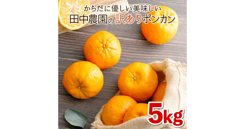 【ふるさと納税】＜先行予約＞訳ありポンカン 5kg（L~3Lサイズ） 国産 東洋町産 訳あり 甘酸っぱい ジューシー 蜜柑 ミカン高知県 東洋町 四国 お取り寄せ フルーツ 果物 送料無料 T-02