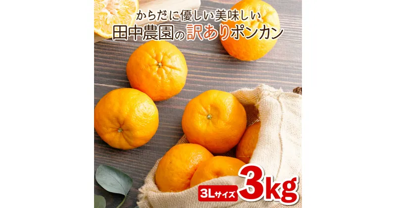 【ふるさと納税】＜先行予約＞ポンカン 3kg（3Lサイズ） 国産 東洋町産 訳あり 甘酸っぱい ジューシー 蜜柑 ミカン 有機肥料 高知県 東洋町 四国 お取り寄せ フルーツ 果物 送料無料 T-03