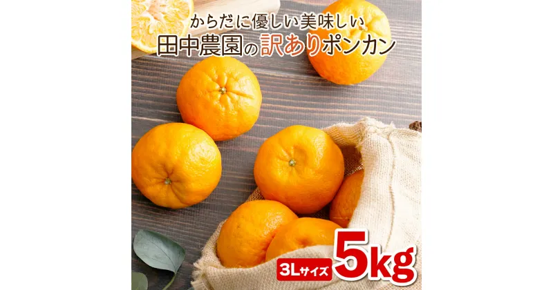 【ふるさと納税】＜先行予約＞ポンカン 5kg（3Lサイズ） 国産 東洋町産 訳あり 甘酸っぱい ジューシー 蜜柑 ミカン 有機肥料 高知県 東洋町 四国 お取り寄せ フルーツ 果物 送料無料 TA14