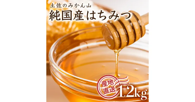 【ふるさと納税】『純国産』土佐のみかん山のはちみつ＜1.2kg＞ 国産 東洋町産 蜂蜜 ハチミツ ハニー 国産はちみつ 国産ハチミツ 純国産 四国 家庭用 自宅用 大容量 送料無料 贈り物 ギフト プレゼント TA20