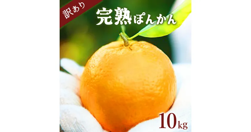 【ふるさと納税】 ＜先行予約＞訳アリ完熟ぽんかん 5kg×2箱セット10kg 国産 東洋町産 訳あり 甘酸っぱい 甘い 蜜柑 ミカン ジューシー 高知県 東洋町 四国 お取り寄せ フルーツ 果物 送料無料 産地直送 F-06